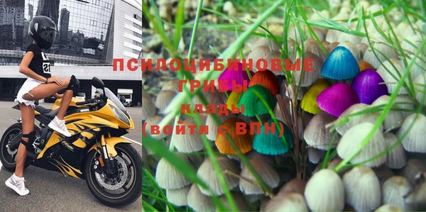 спиды Абинск