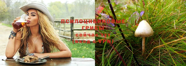спиды Абинск