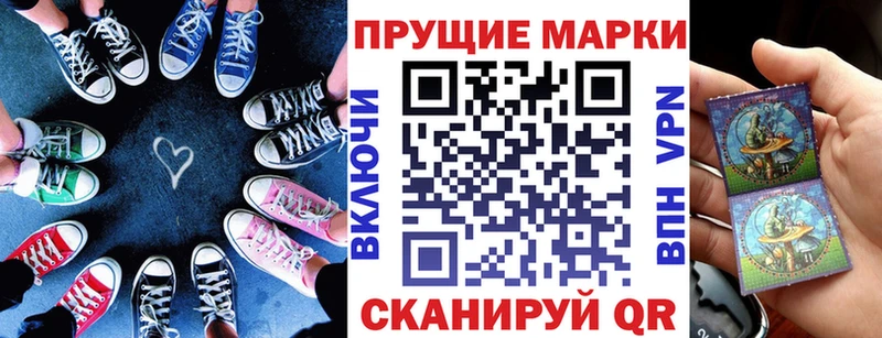 мега рабочий сайт  Куровское  Марки NBOMe 1,8мг  сколько стоит 