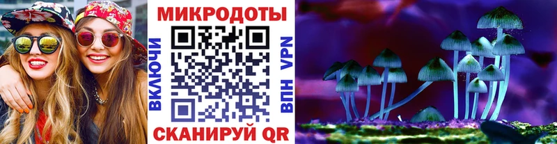 Галлюциногенные грибы MAGIC MUSHROOMS  купить наркотик  Куровское 